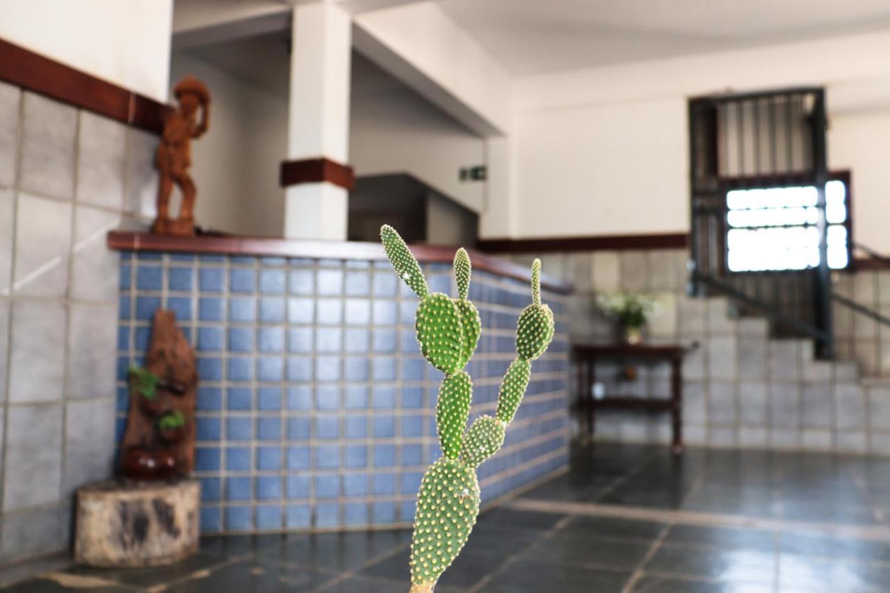 Hotel Estalagem Sertaneja 브루마두 외부 사진